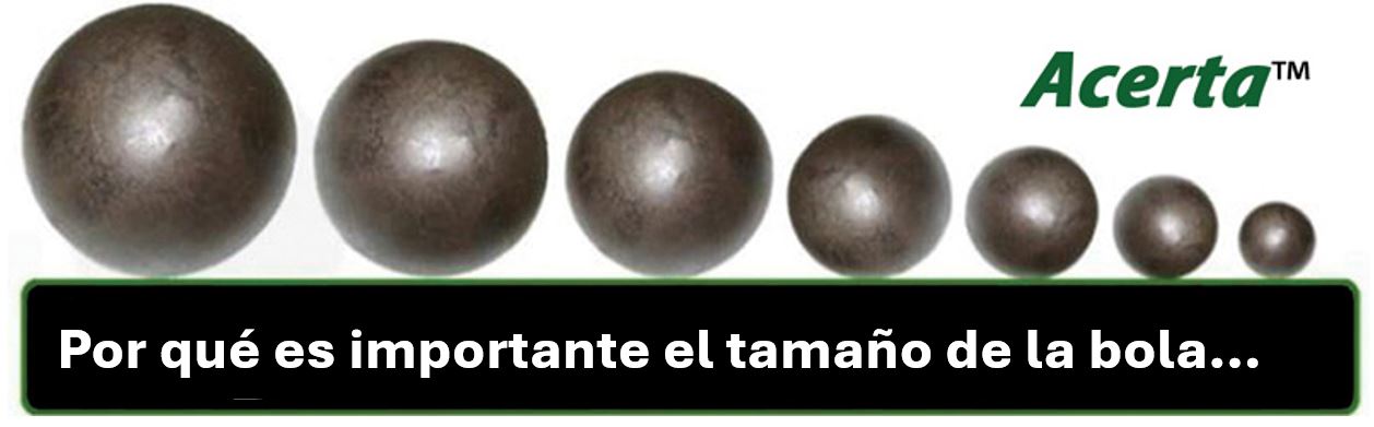 Acerta